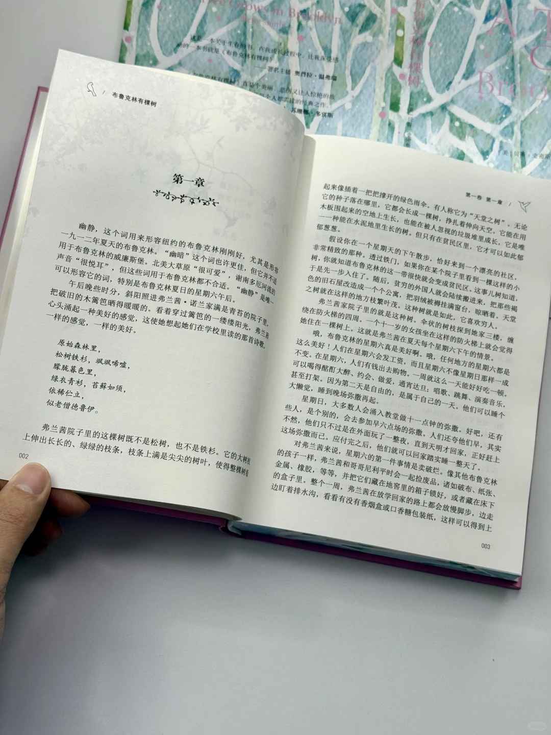豆瓣9.1分的治愈神作！带着小书过春天🌲