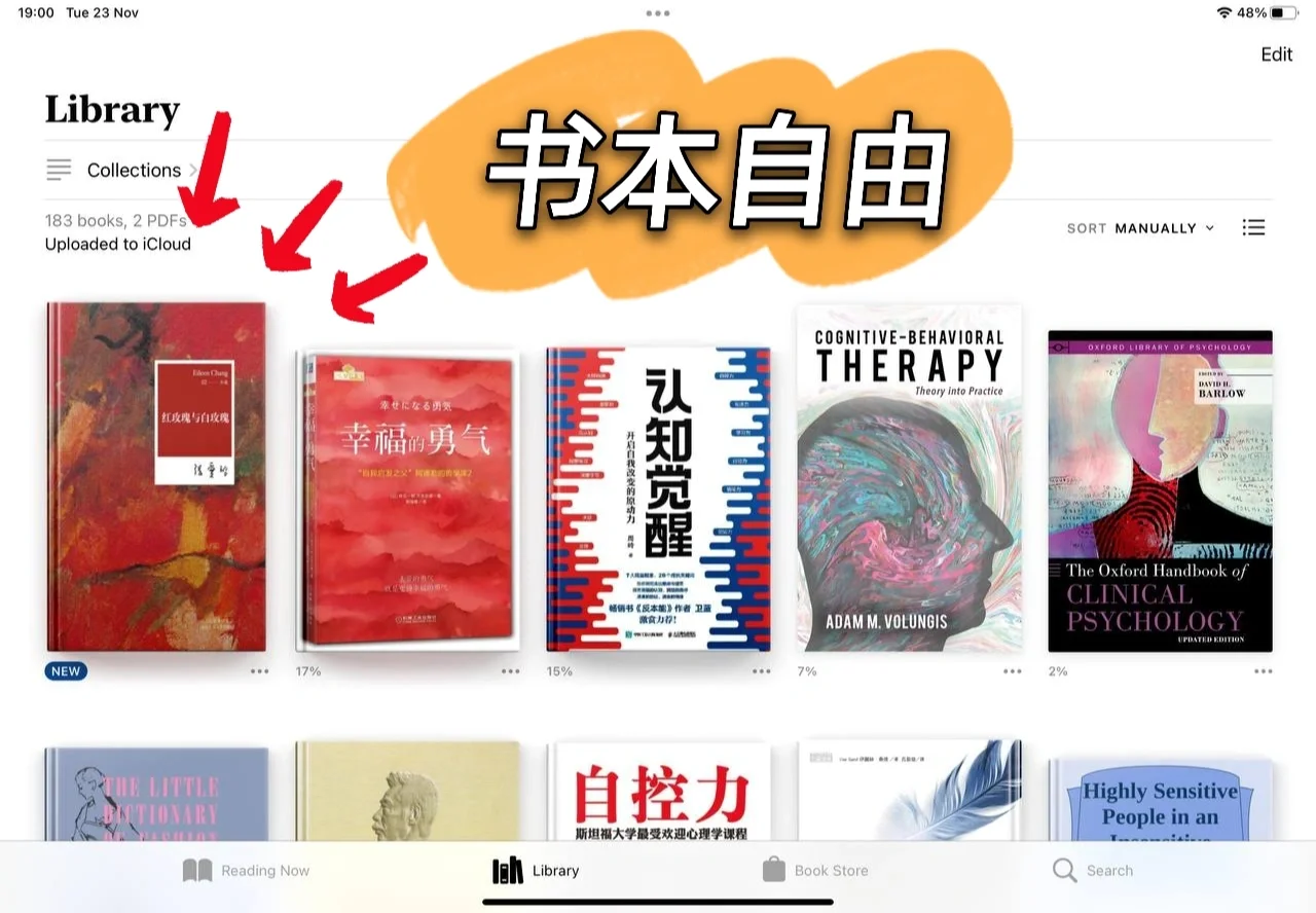 Ipad 实现书本📚自由 || 你要免费书本吗?