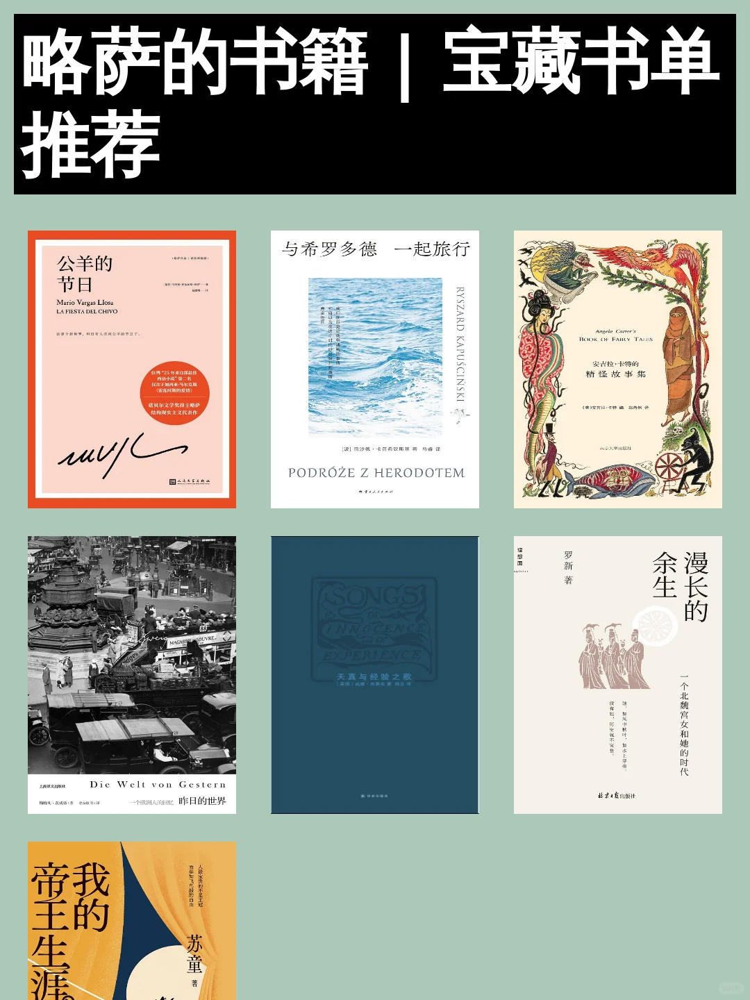 略萨的书籍 | 宝藏书单推荐