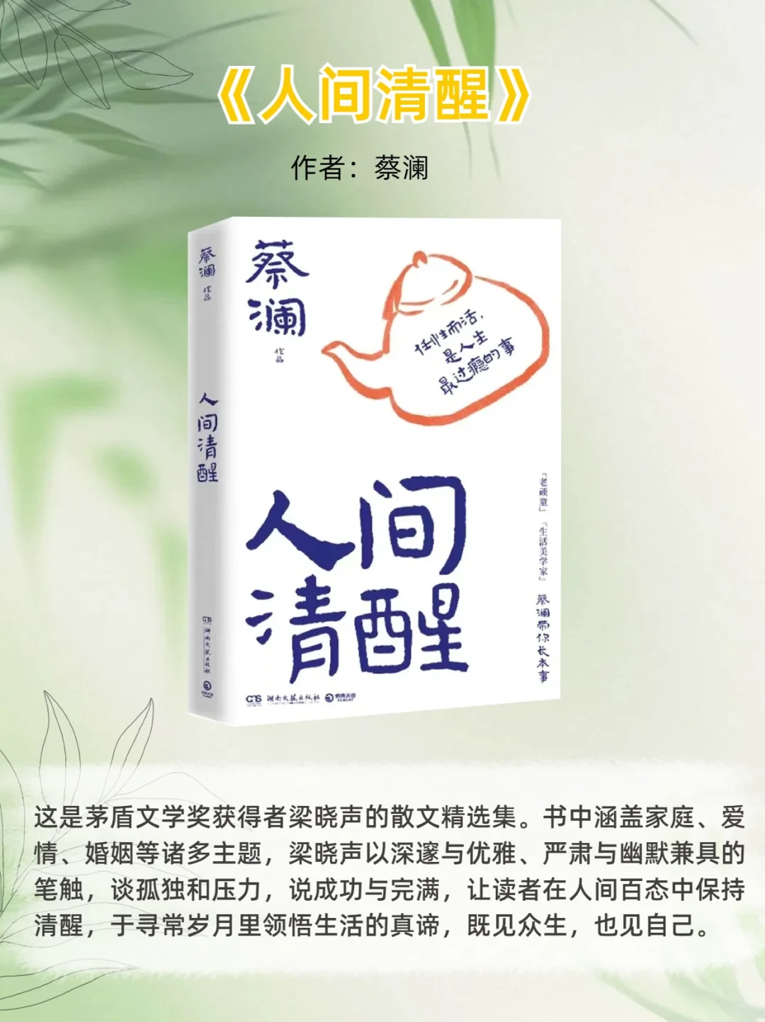 🌟33岁觉醒 | 读完这6本书，我突然不焦虑了