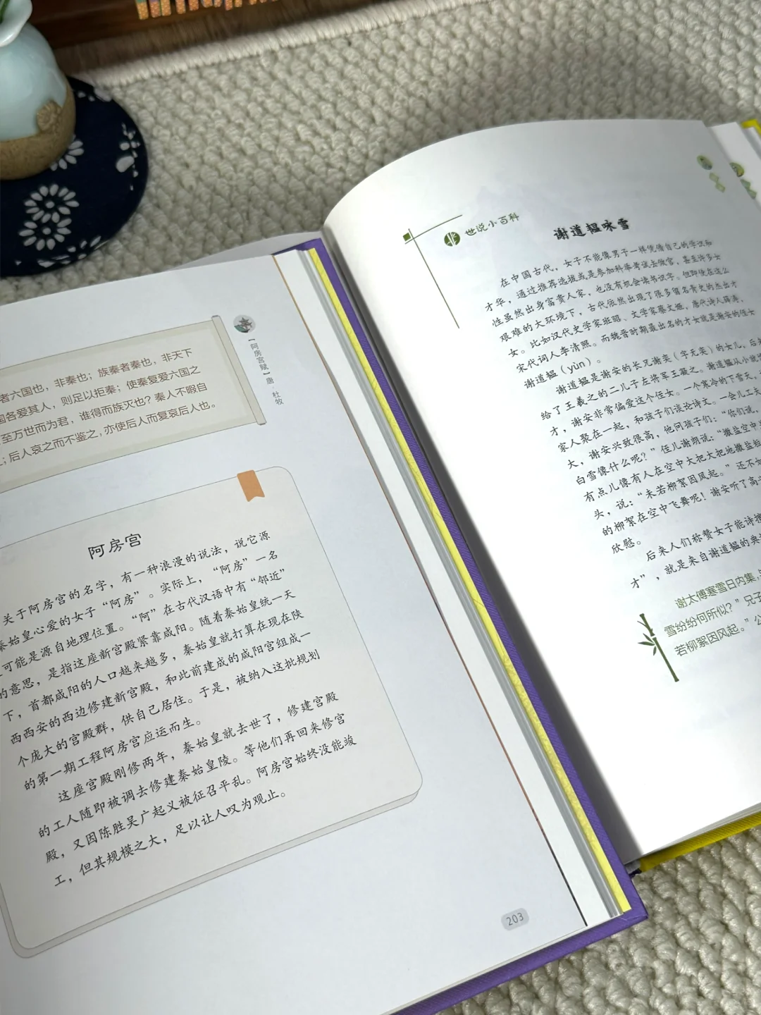 孩子文言文读到上瘾😍 这两本书真封神‼️