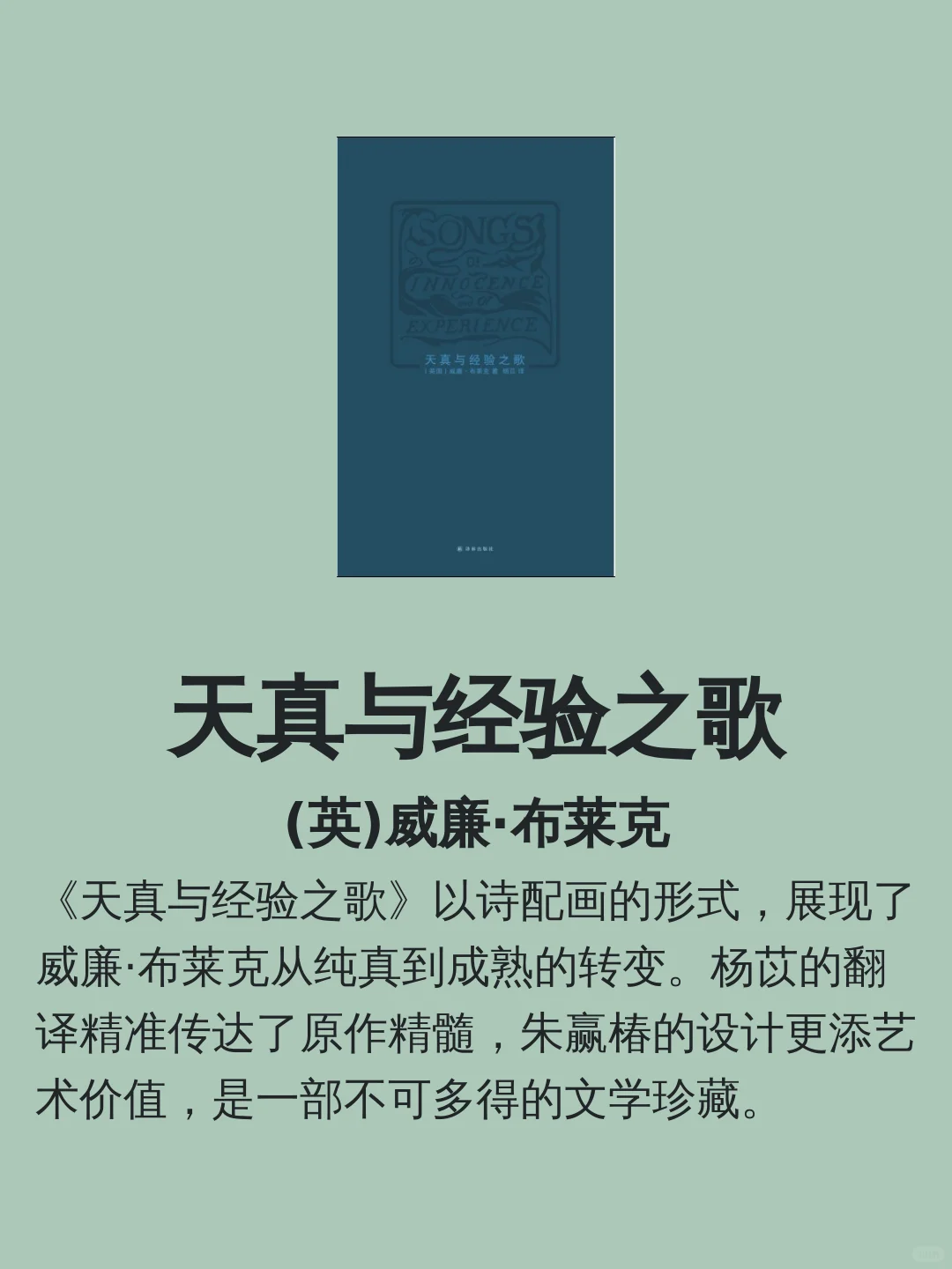 略萨的书籍 | 宝藏书单推荐