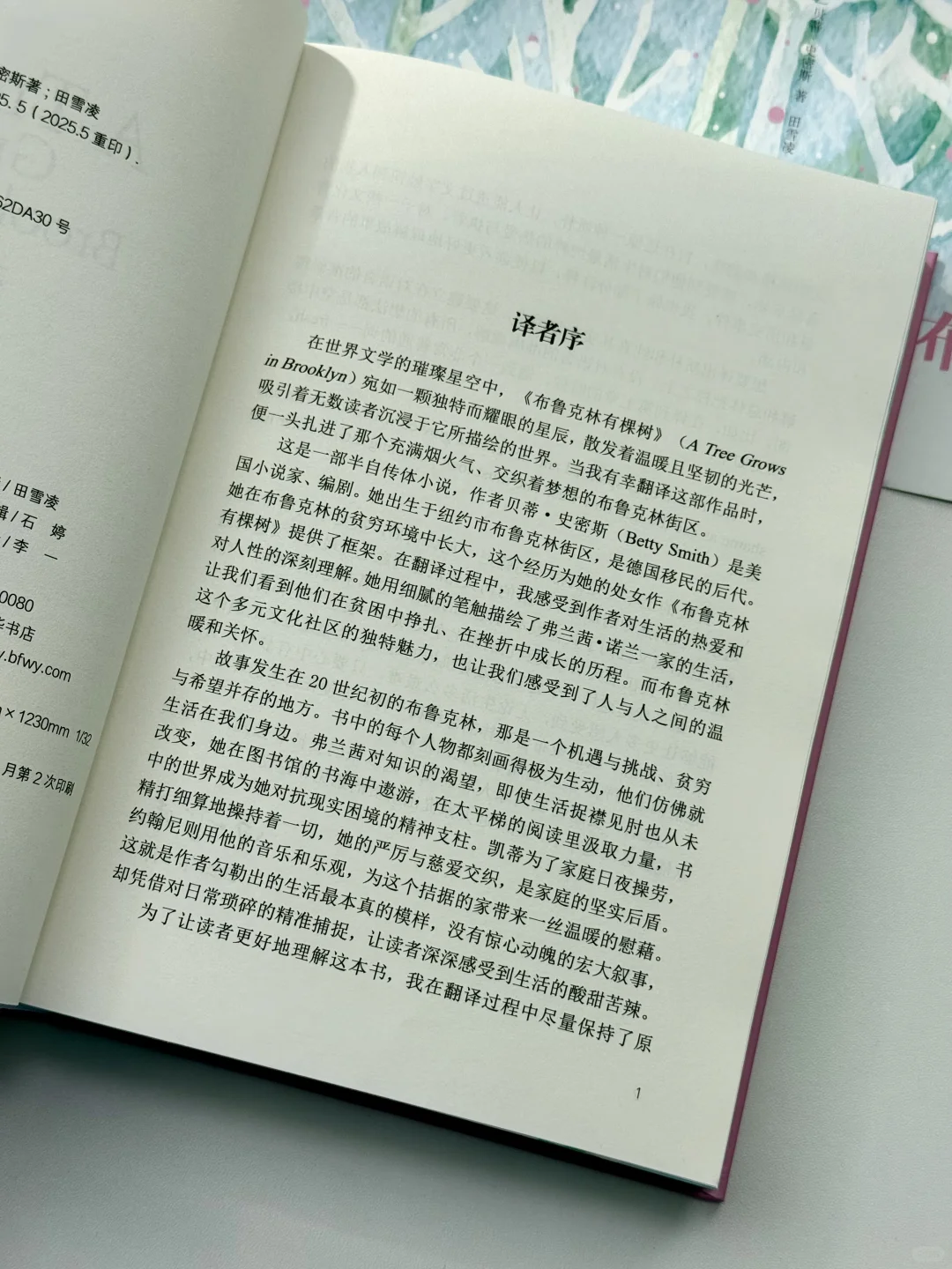 豆瓣9.1分的治愈神作！带着小书过春天🌲