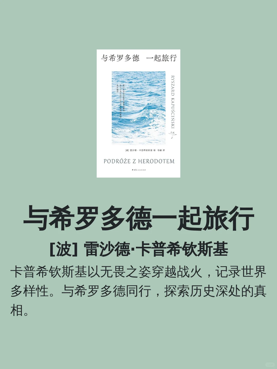 略萨的书籍 | 宝藏书单推荐