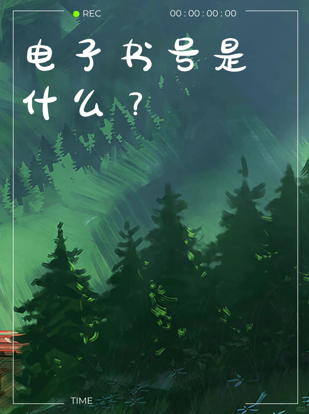 电子书号是什么？