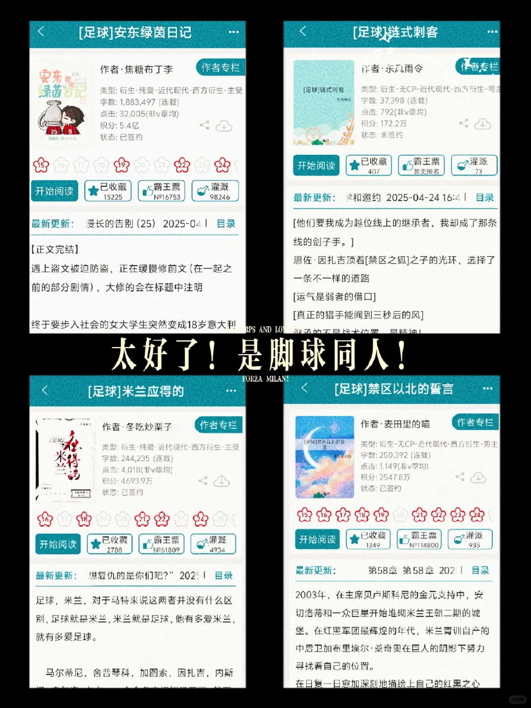 毛蜜珍藏足球⚽️同人书单：毛命也命！