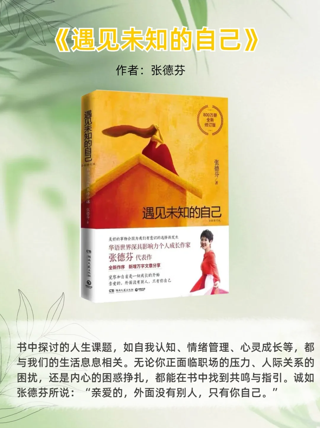 🌟33岁觉醒 | 读完这6本书，我突然不焦虑了