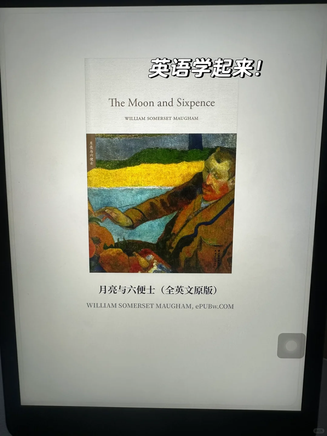 我的iPad有超多电子书👍实现电子书自由～