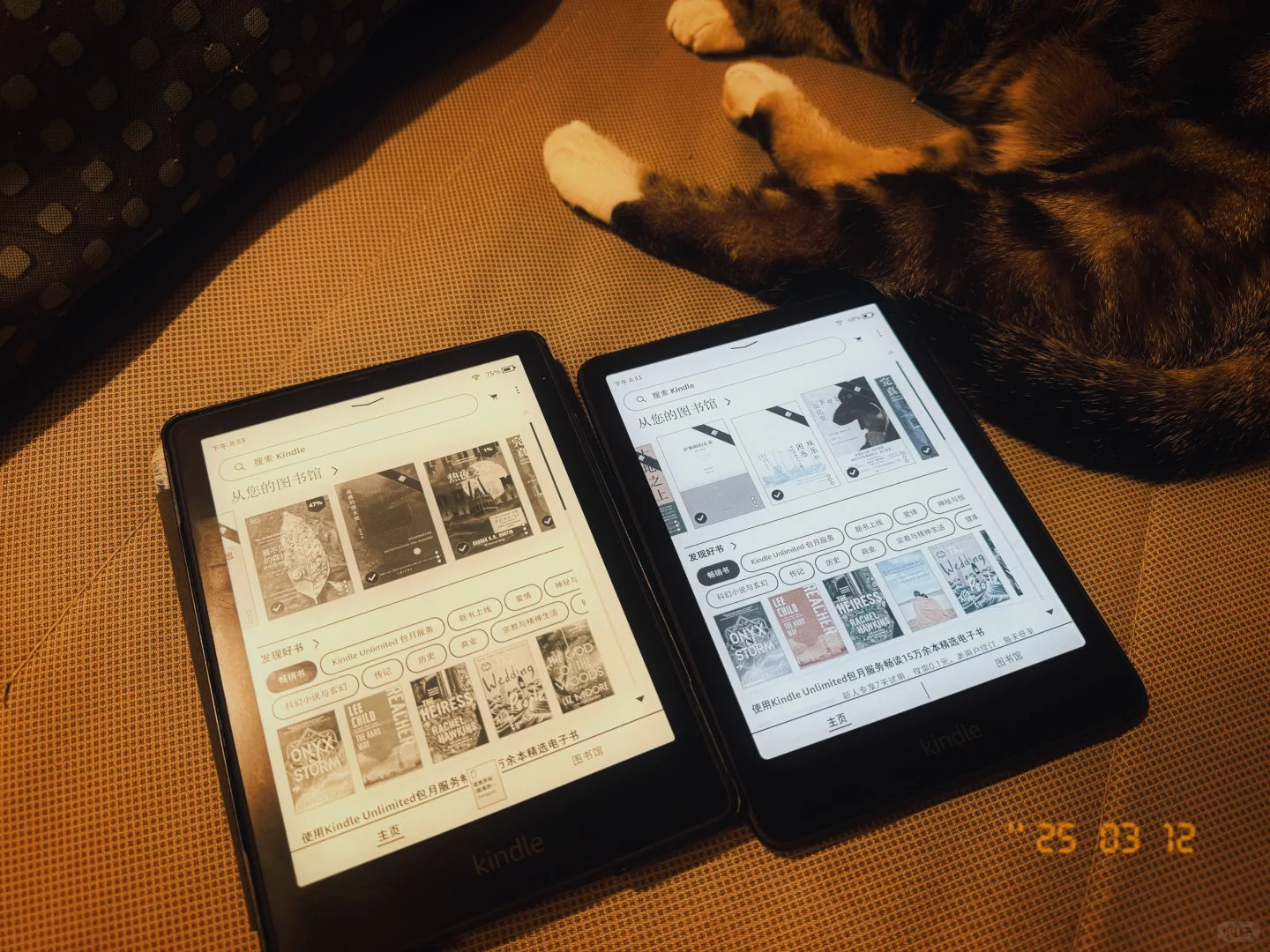 谁2025年了还在买kindle啊