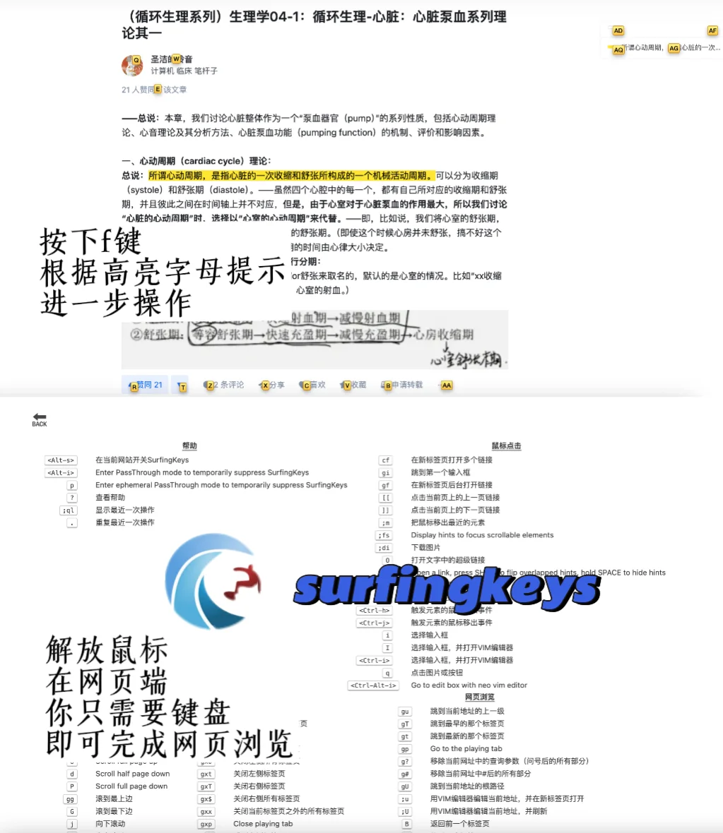 Edge插件丨07丨适合爱收藏文字的你！