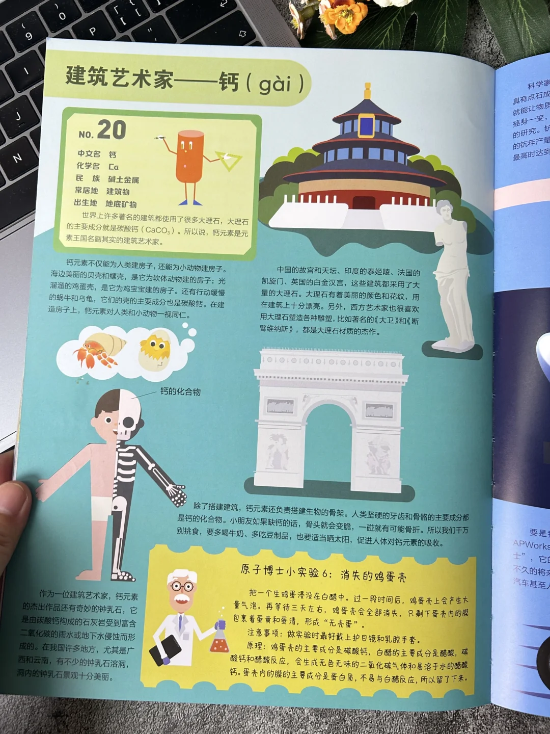 太值了😱给孩子的数理化宝典 看了900遍