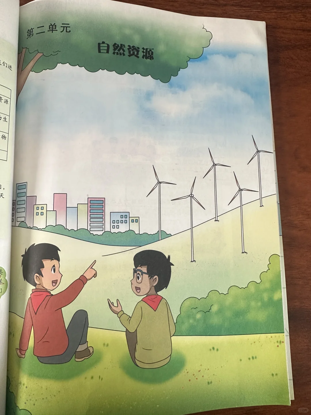 六下大象版科学之自然资源