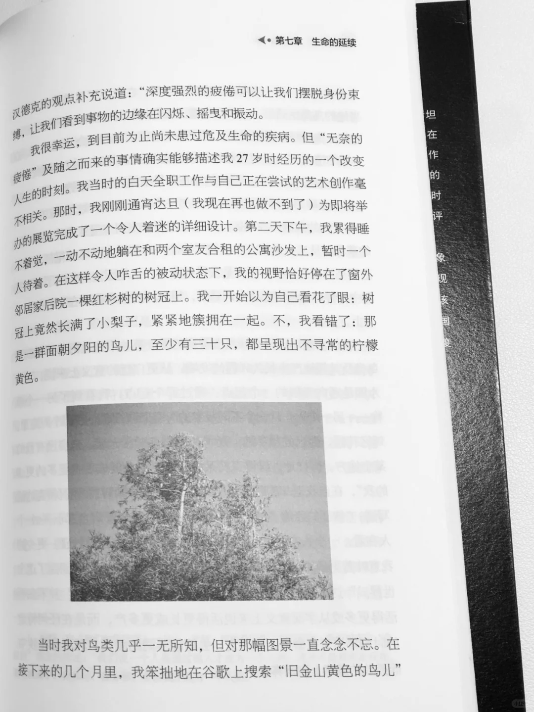 《时间》：在无用之中，找到生命的节奏