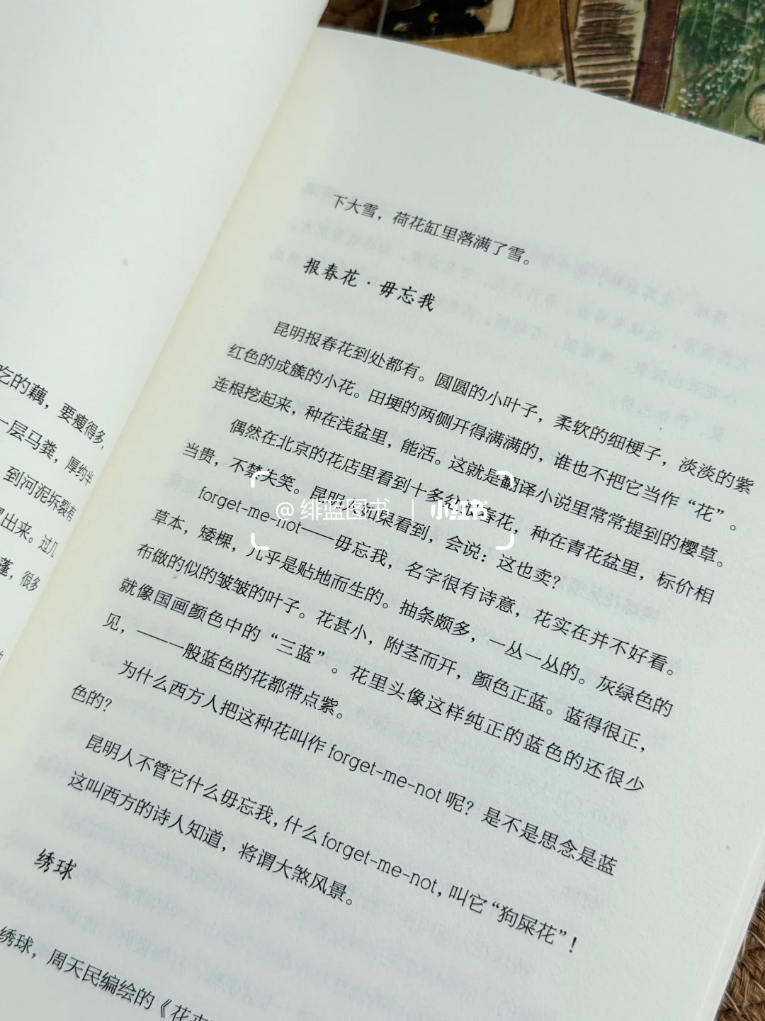 老天奶……这真的很适合当礼物啊啊啊🎁