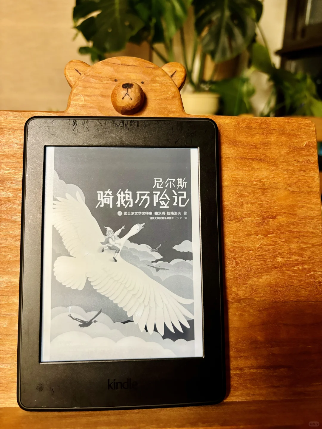 Kindle的重生