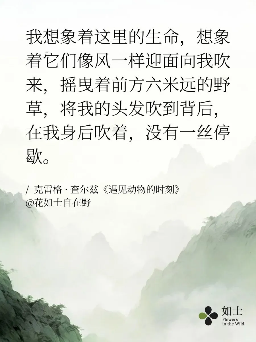 📚✨书单漂流｜这5本好书要长腿跑进你家