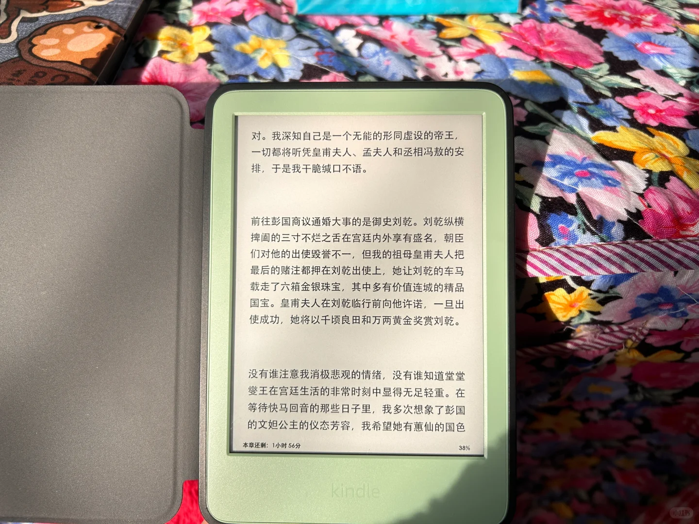 随手一拍都很美的kindle小绿