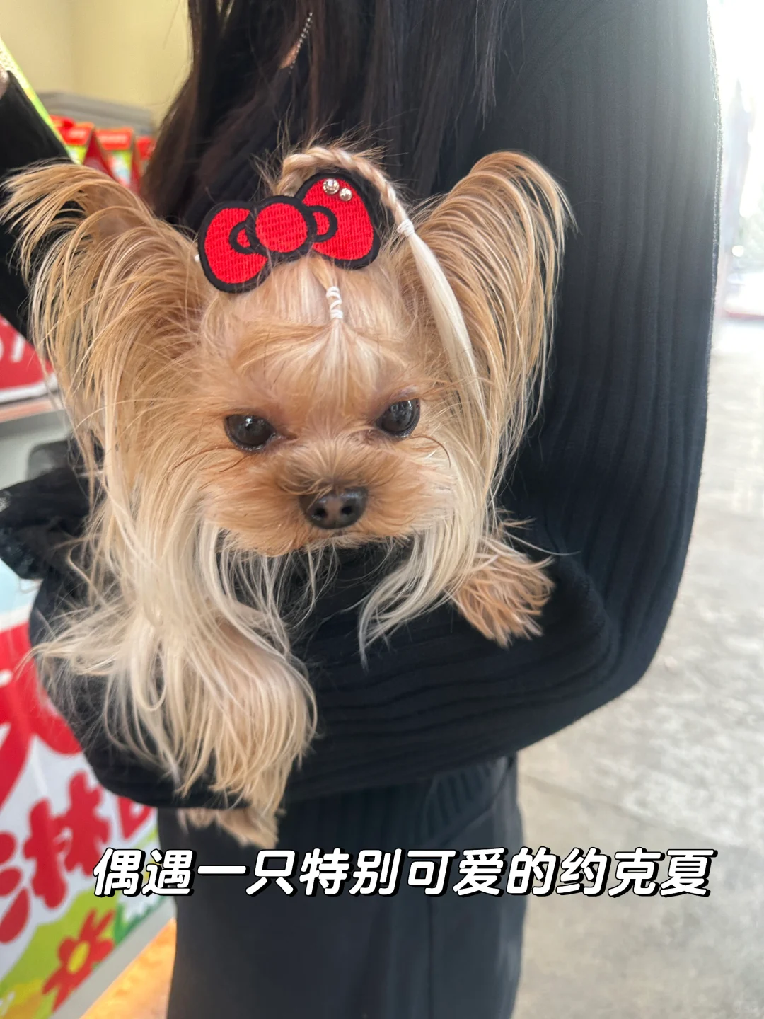 夜深人静，太舒服了谁懂！