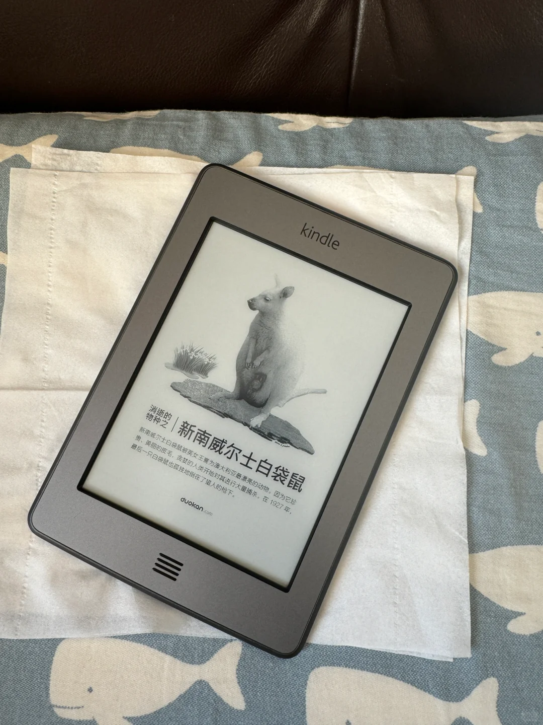 如果你看到这么新的kt，你也会心动