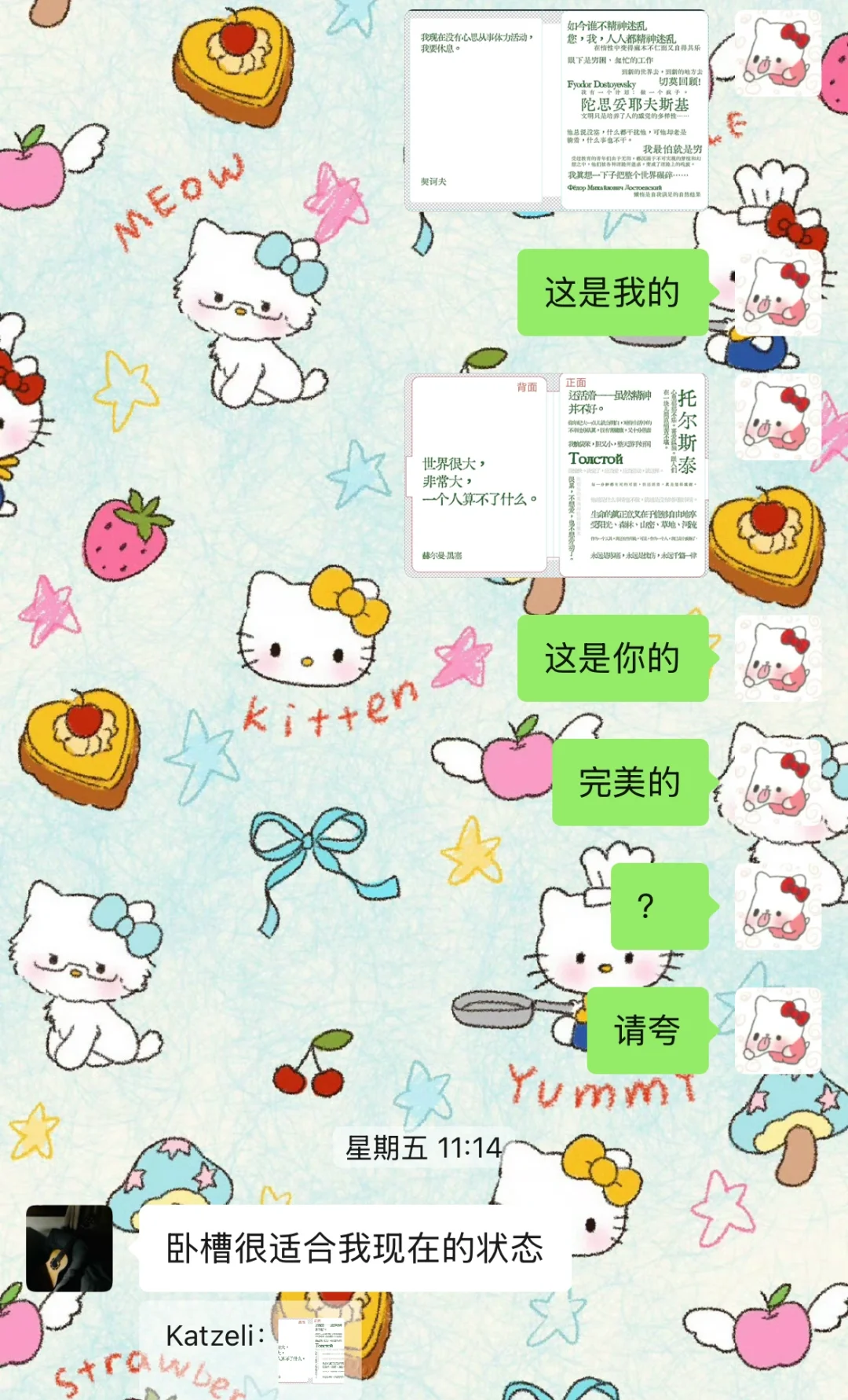 给我的掌阅和朋友的kindle定制了两个保护壳