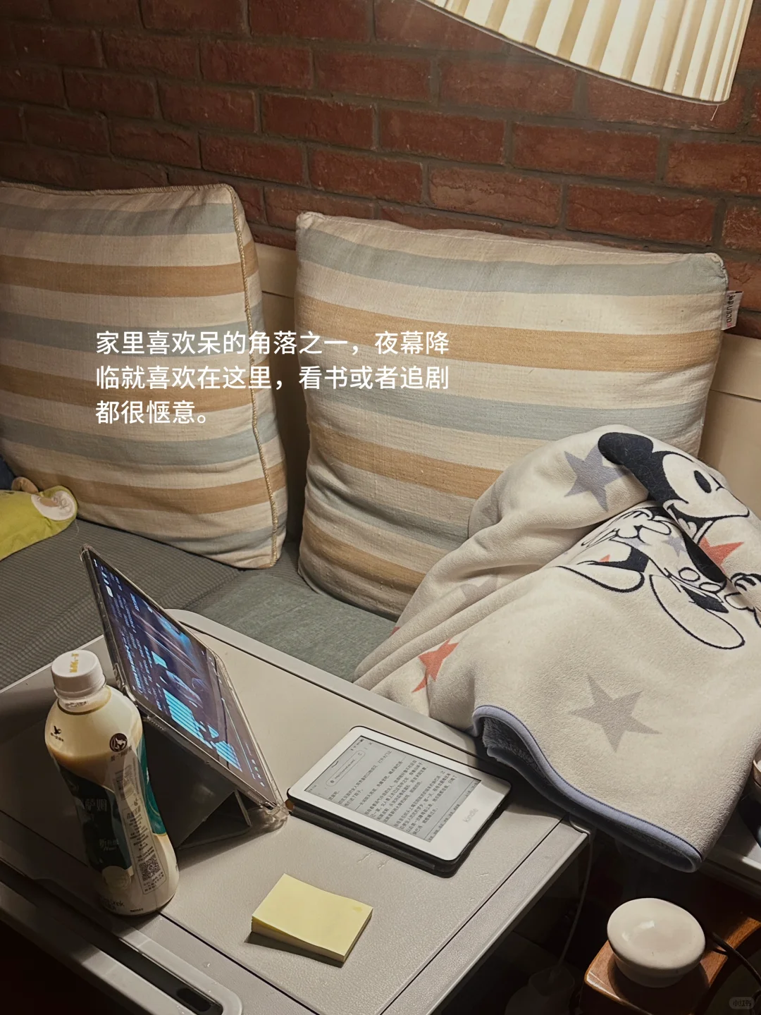 晚上捧着kindle看会书