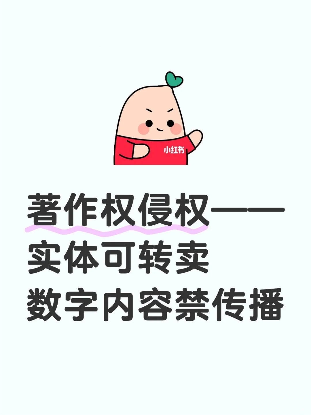 2025.4.29 实体可转卖,数字内容禁传播