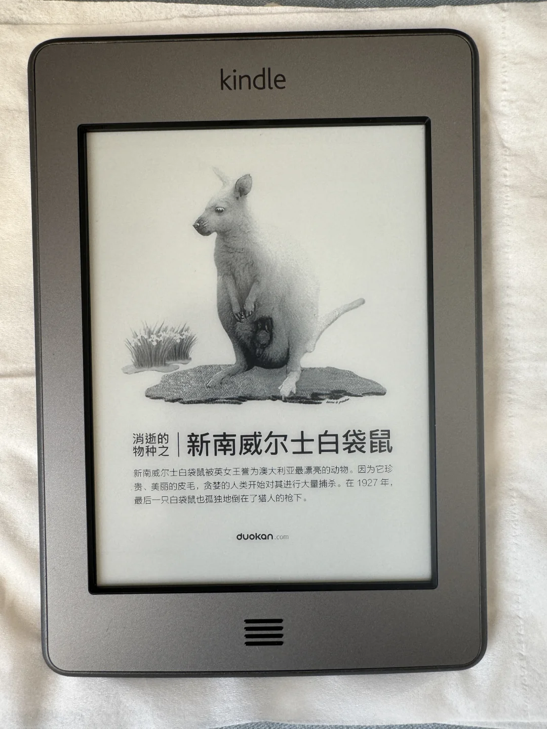 如果你看到这么新的kt，你也会心动