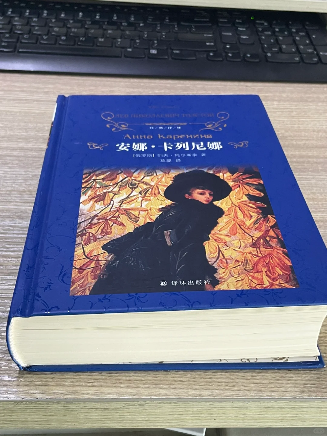 又是一本厚度比肩字典的书📖