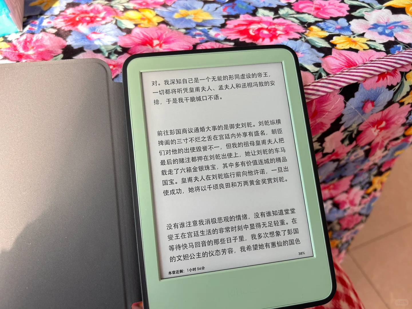 随手一拍都很美的kindle小绿
