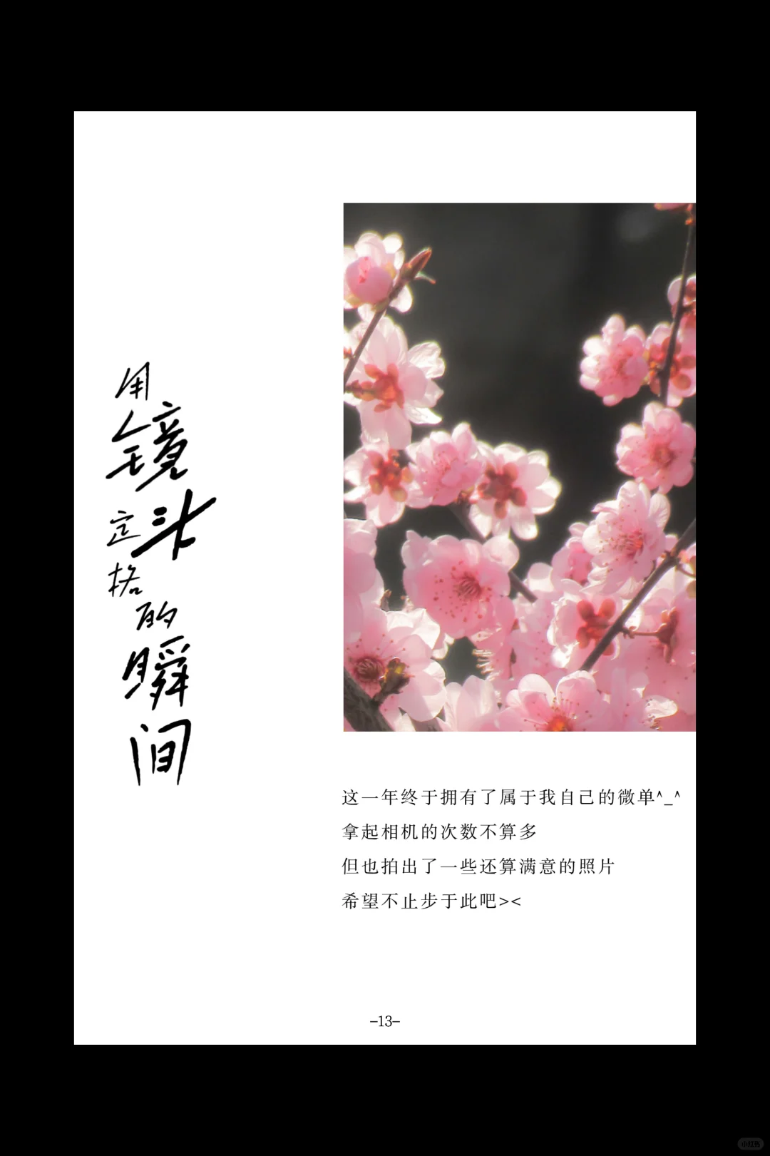 最伟大的2024年度总结出现了