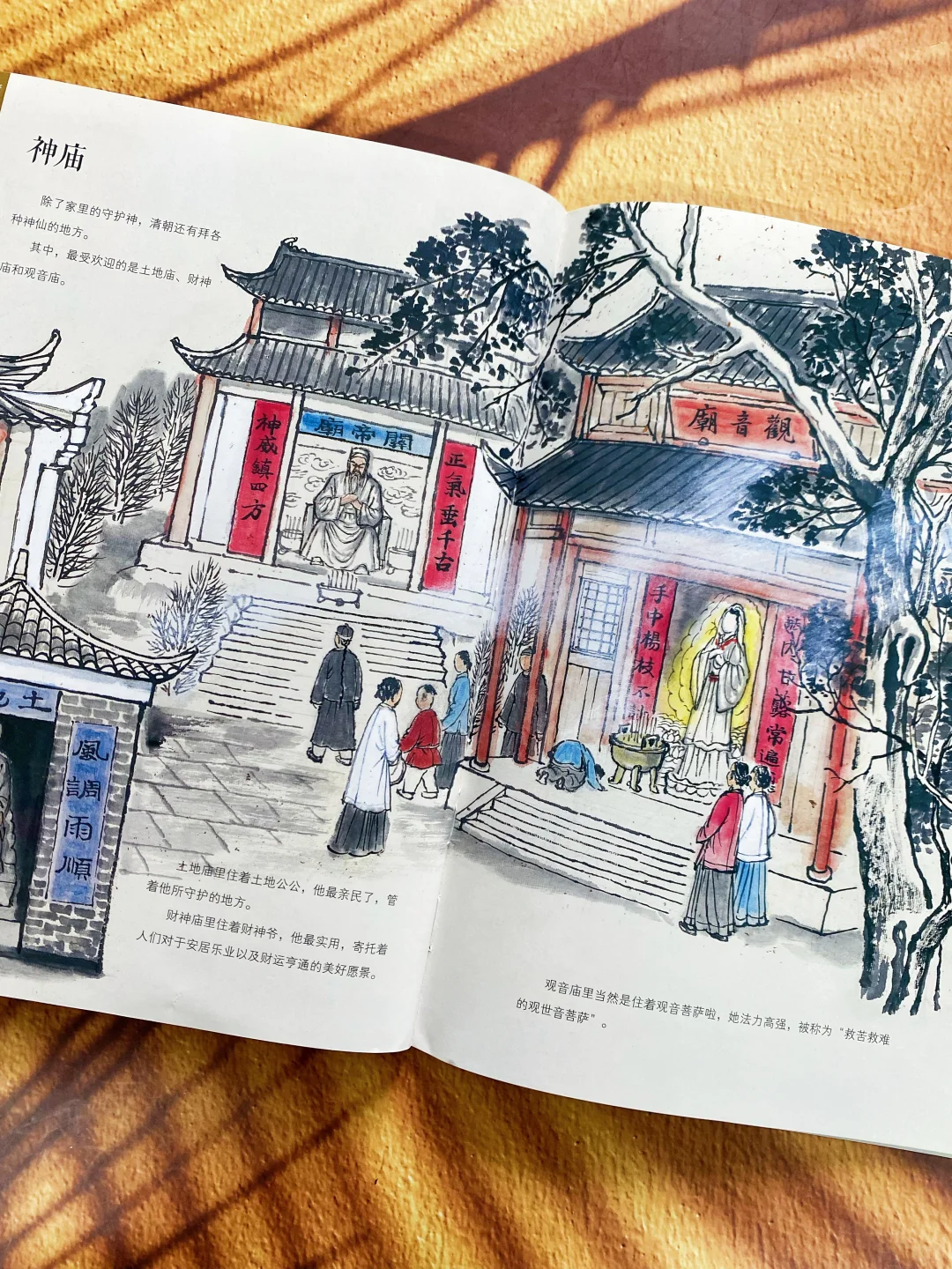 豆瓣9.7分😘这套历史书让四年级儿子彻底爱