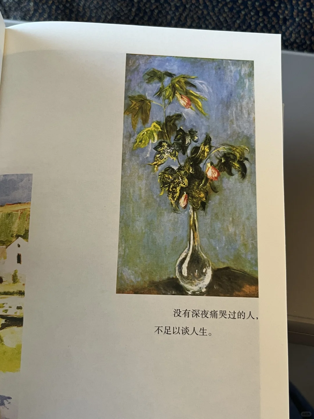 读哭了😭 孙颖莎！！勇敢的人先享受世界！！！