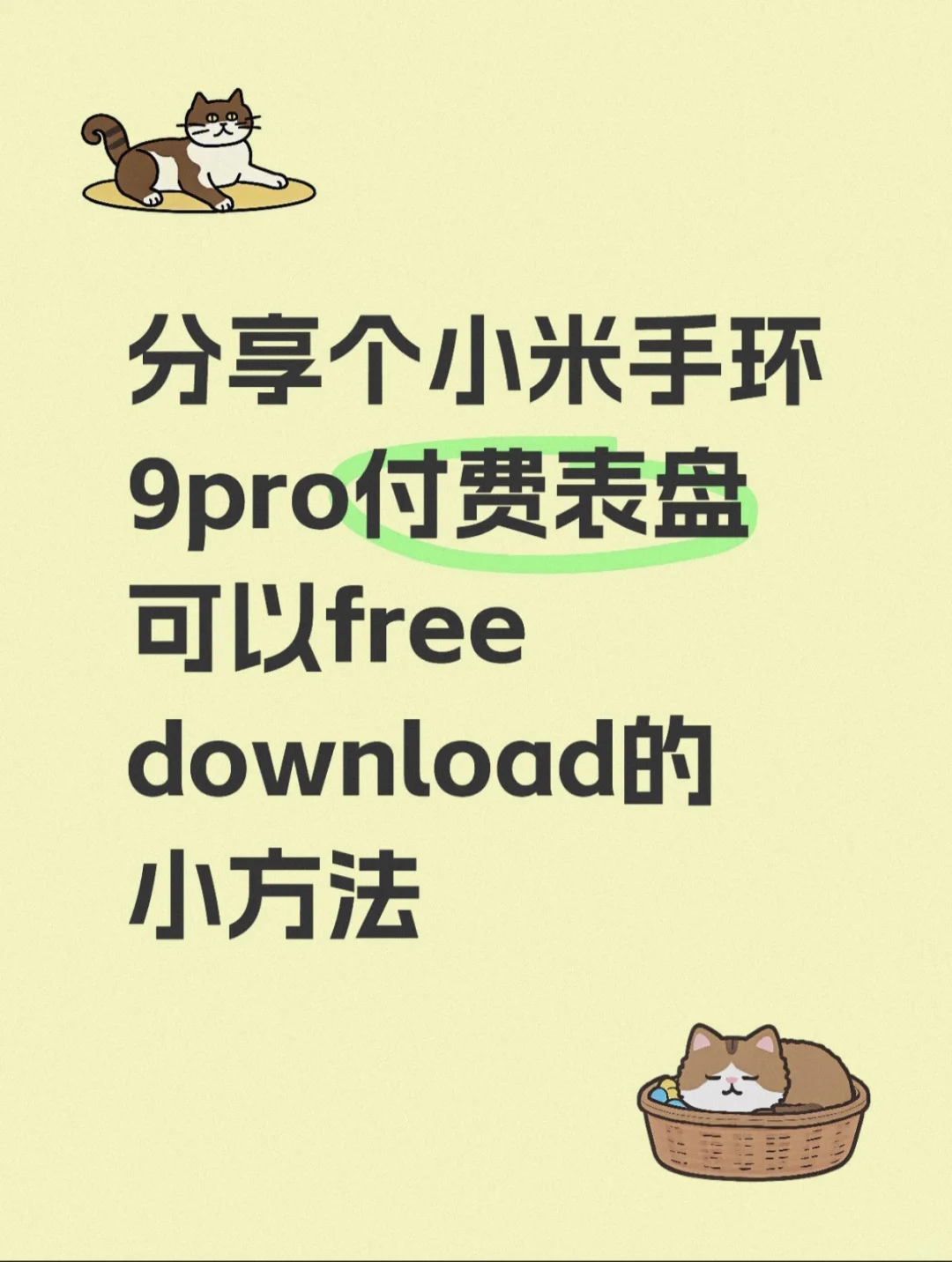 小米手环9pro表盘付费版免fei download使用