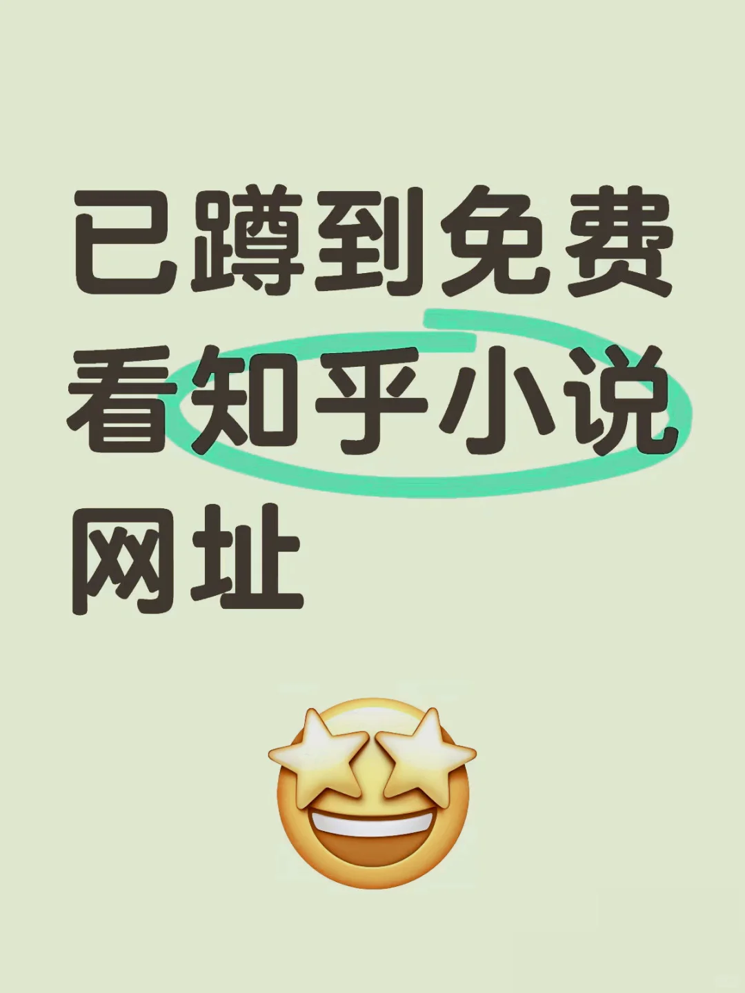 勉费软件看盐选