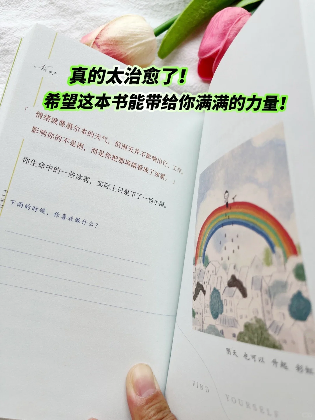 被这本小书治愈到爆😭