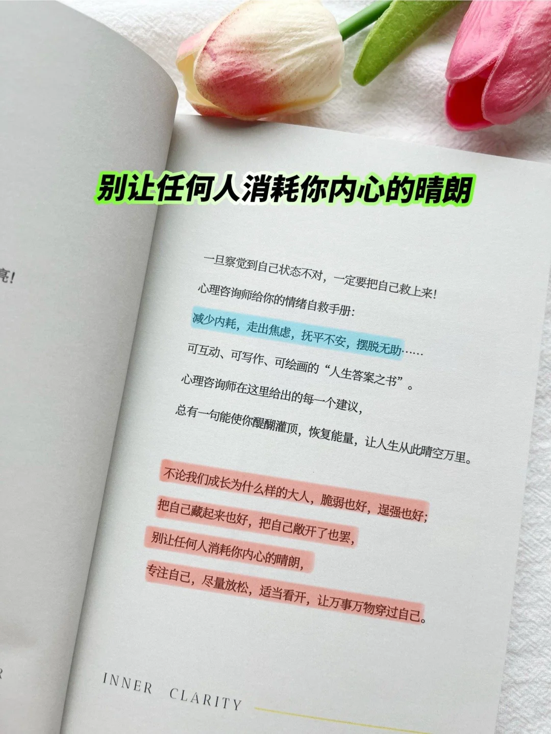 被这本小书治愈到爆😭