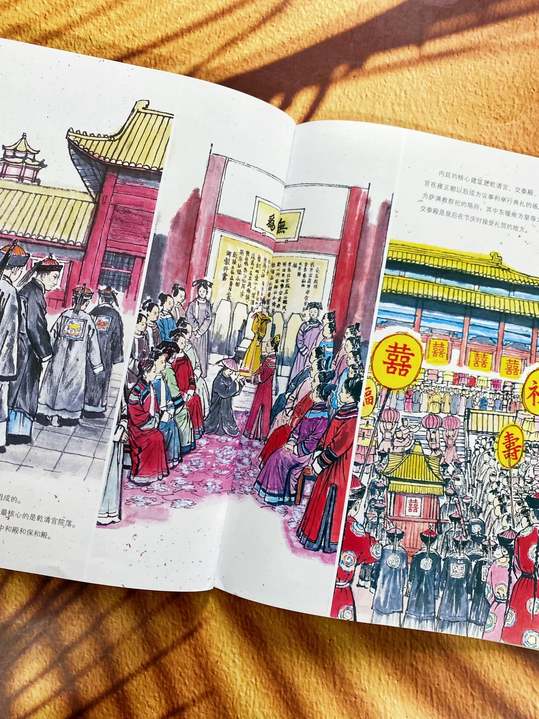 豆瓣9.7分😘这套历史书让四年级儿子彻底爱