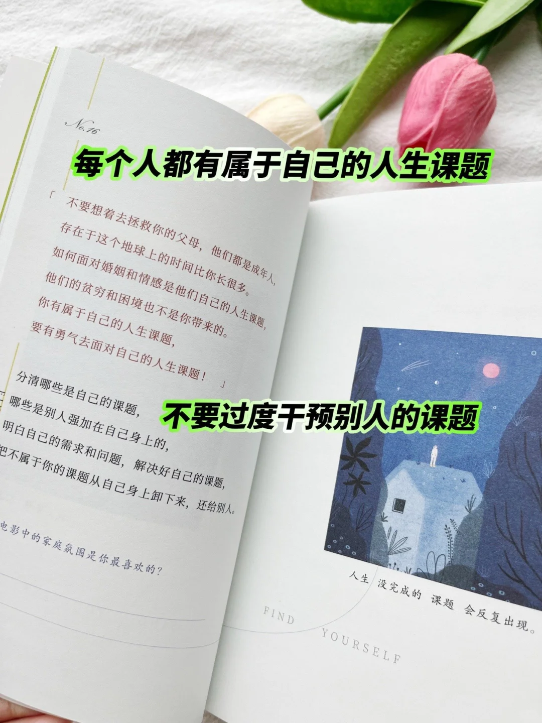 被这本小书治愈到爆😭