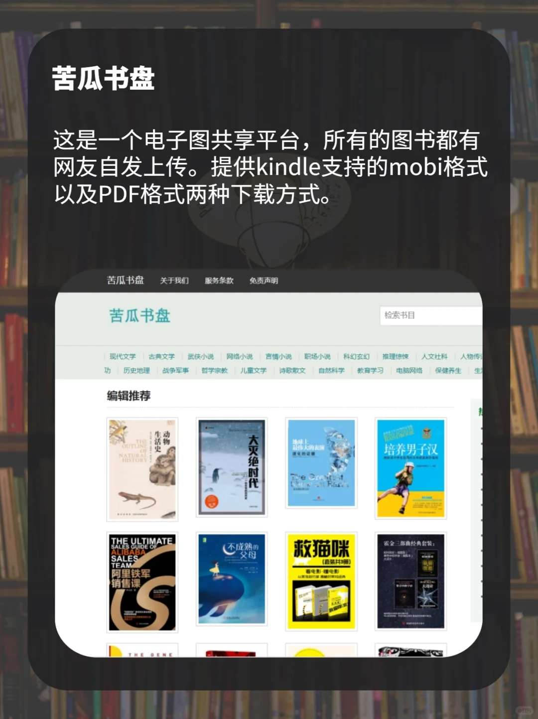 电子书网站合集，解锁电子书自由‼️