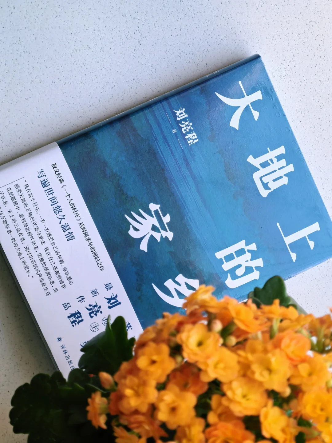 暖心的礼物🎁是五月书单的序幕📖