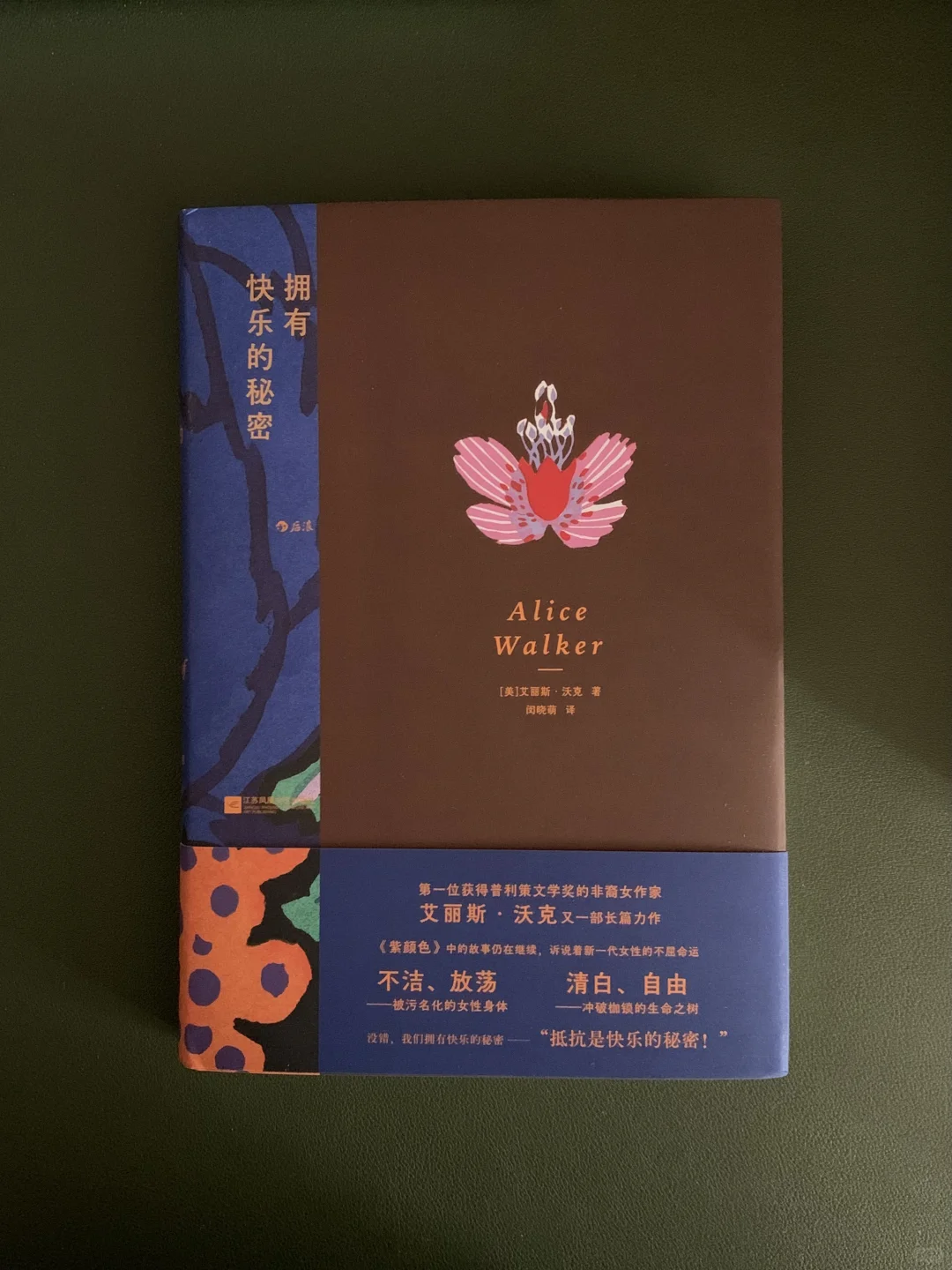 5月上旬的「春日书单」