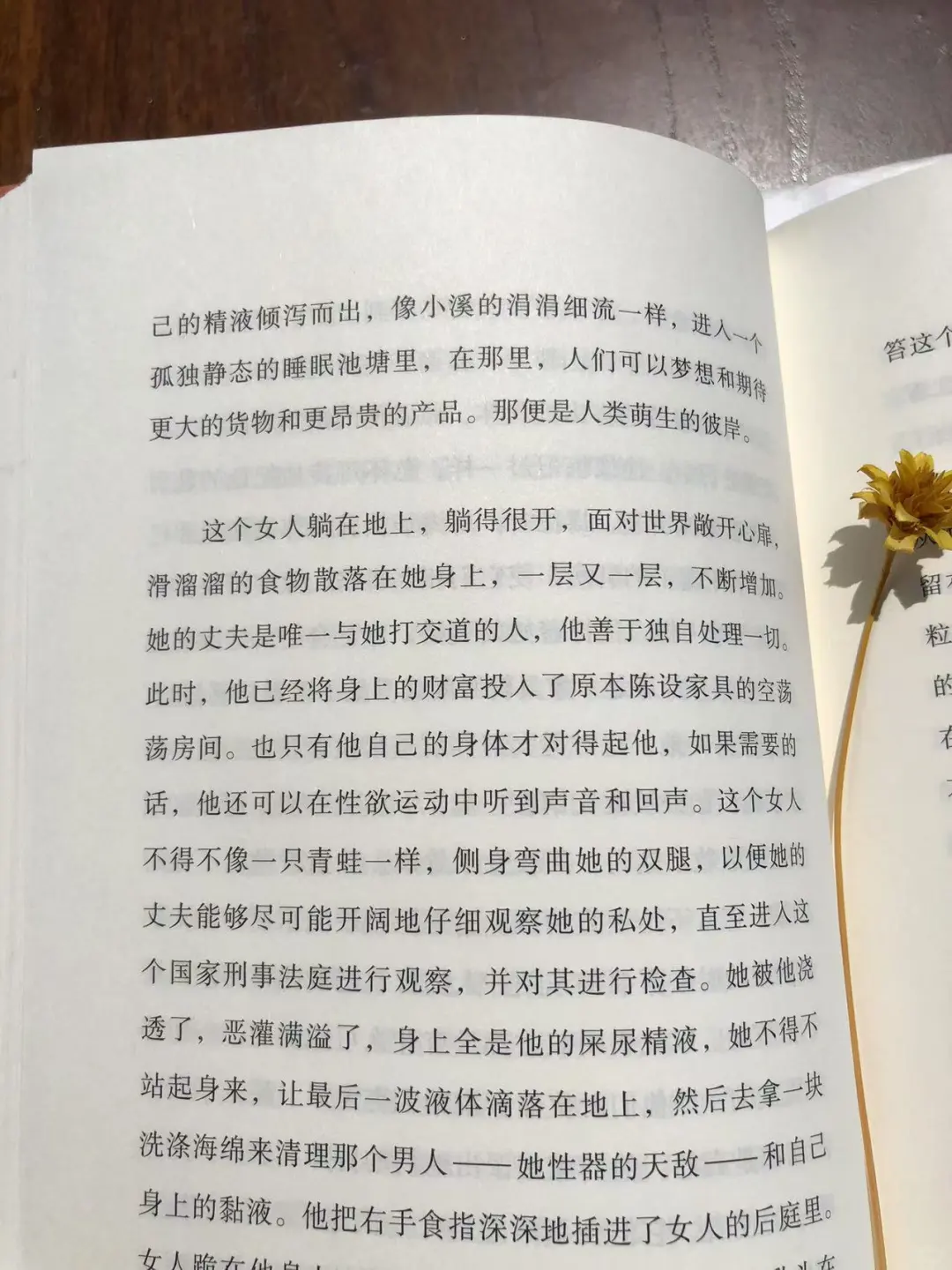 《情欲》你敢直面欲望背后的真相吗