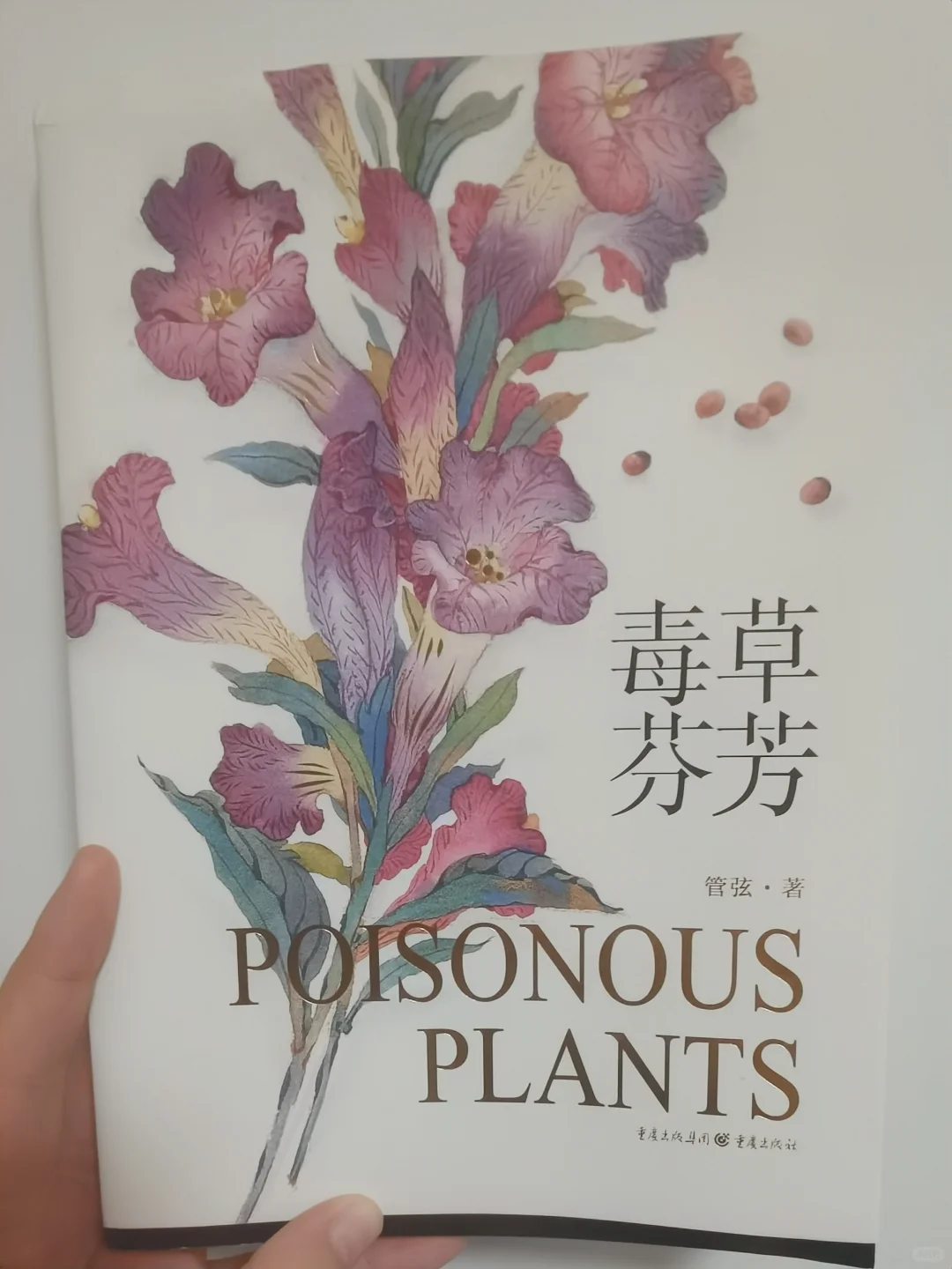 我是古言新手食用书单，我没有最薄弱的地方