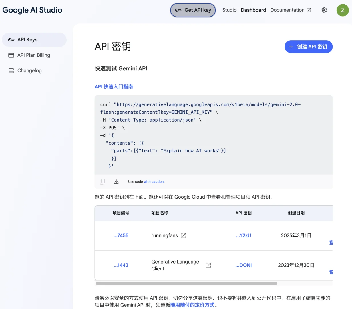 利用Gemini+代码全自动翻译pdf到epub
