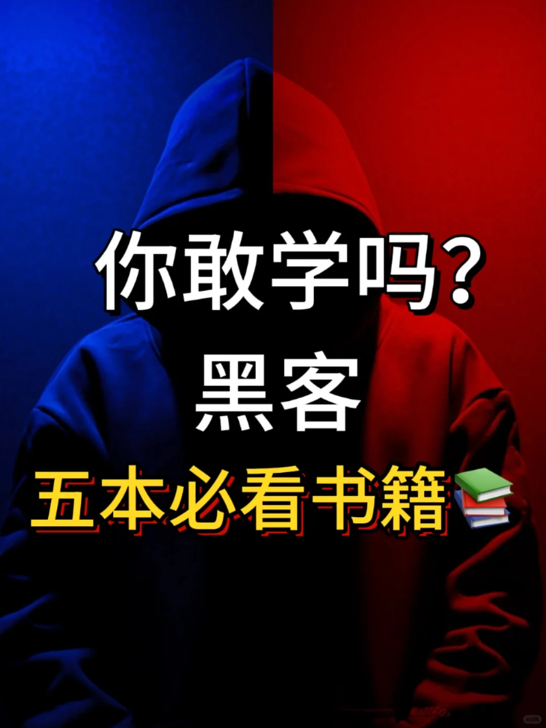 别再盲目学习黑客了，码住这五本好书吧！