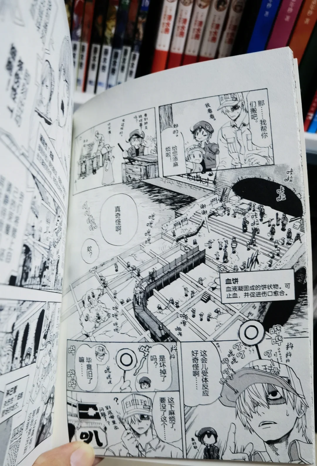 我的100本漫画书单分享第15本《工作细胞》