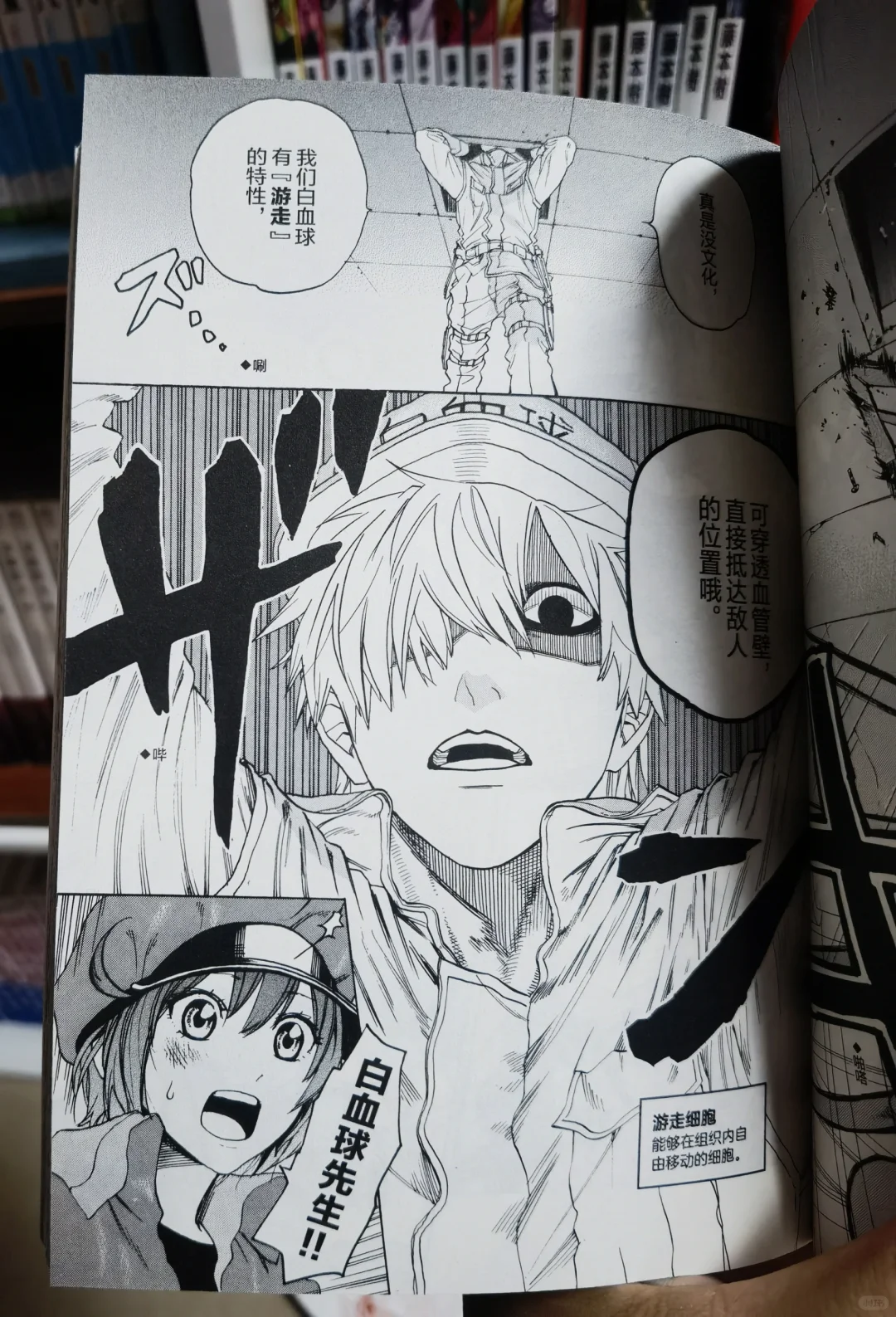 我的100本漫画书单分享第15本《工作细胞》