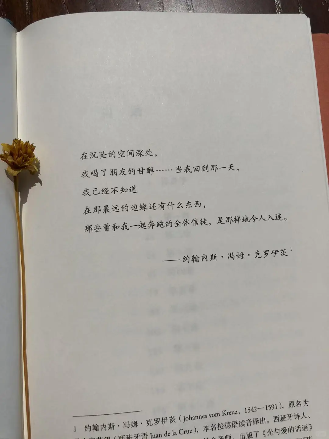 《情欲》你敢直面欲望背后的真相吗
