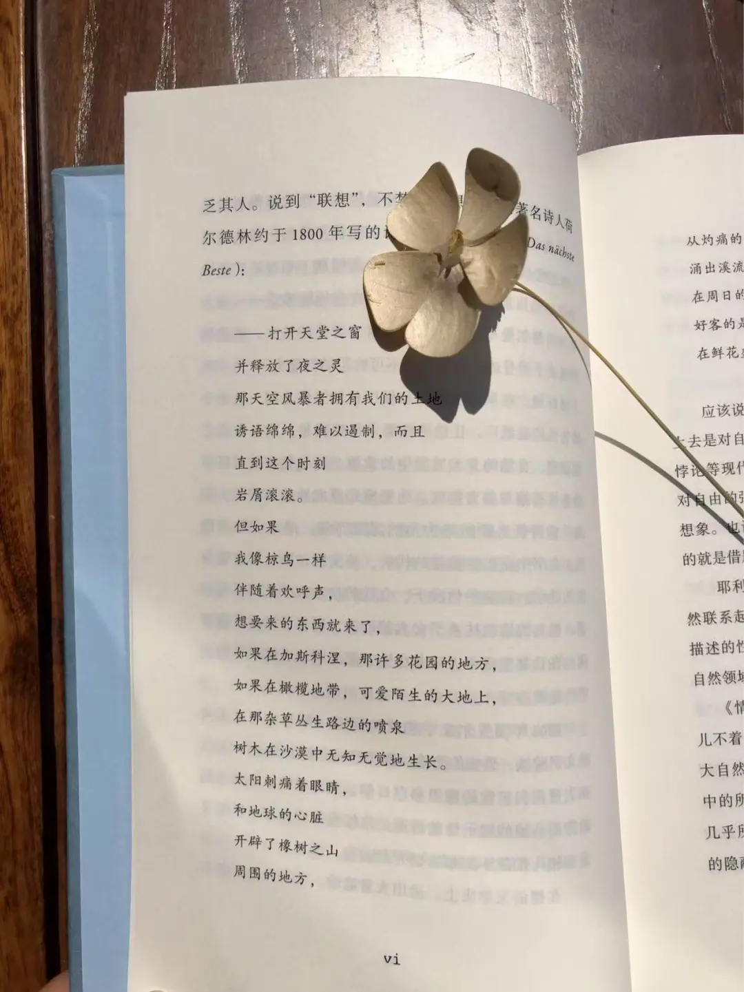 《情欲》你敢直面欲望背后的真相吗