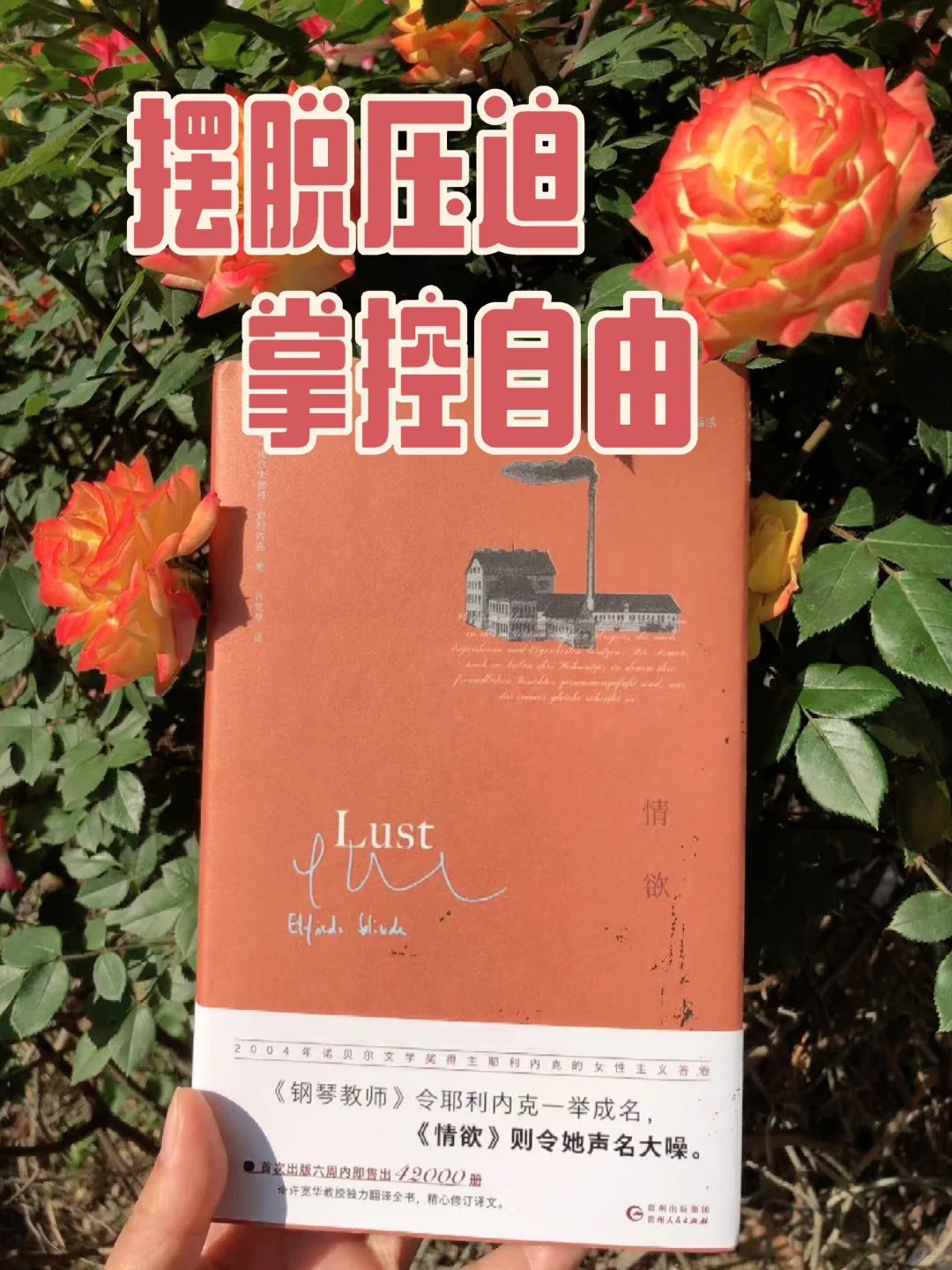 《情欲》你敢直面欲望背后的真相吗